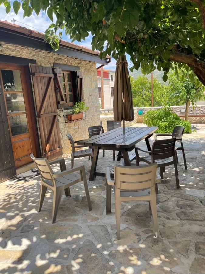Case de vacanță Village
